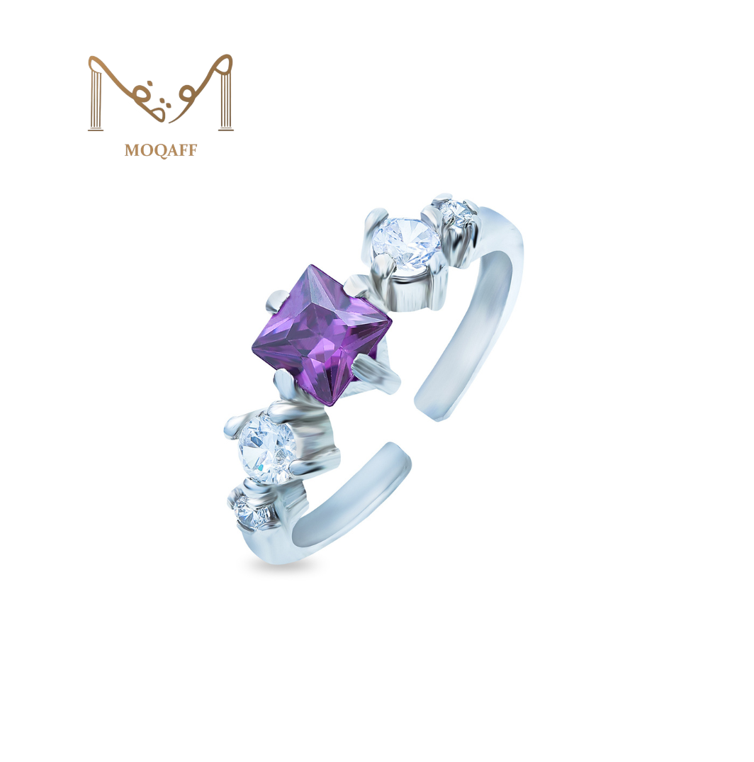 Humnava Set (purple)